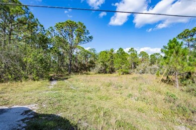 208 Suwannee Dr, Lake Placid, FL 33852 - photo 6