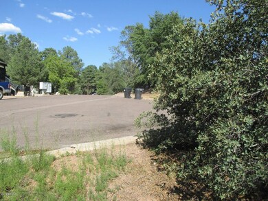 Photo_4