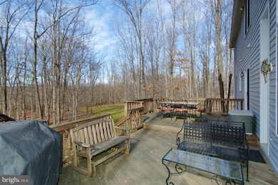 20461 Norman Place, Leesburg, VA 20175 - photo 5