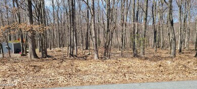 3804 Conashaugh Trail, Dingmans Ferry, PA 18328 - photo 3