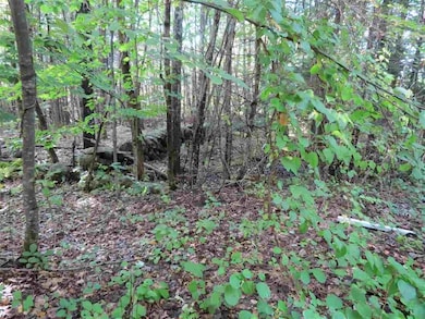 00 Poor Farm Ct unit 5, Wolfeboro, NH 03894 - photo 4