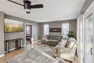 1699 Redwood Ave, Akron, OH 44301 - photo 6