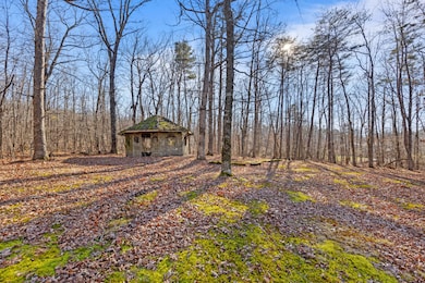 8515 Highway 157, Rising Fawn, GA 30738 - photo 7