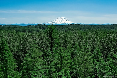 16122 Lemuria Ln SE, Yelm, WA 98597 - photo 6