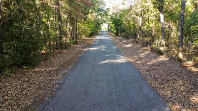 000 Cr 4330, Larue, TX 75770 - photo 5