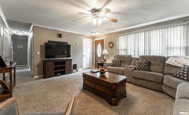 1720 N Ottawa St, Lincoln, IL 62656 - photo 4