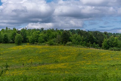 803 Bryant Rd, Cohutta, GA 30710 - photo 4