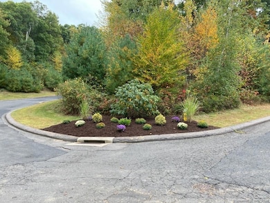 83 Belvedere Dr, Tolland, CT 06084 - photo 3