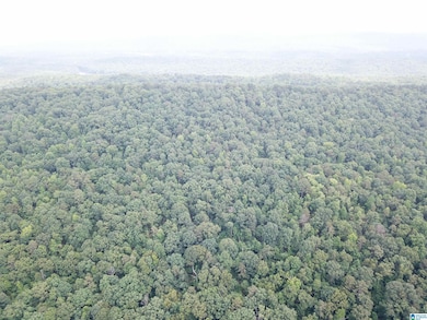 9063 Bush Ave unit 1, Leeds, AL 35094 - photo 5