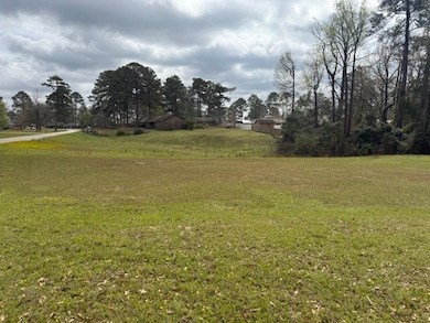 0 Newmont & Irwinton Dr unit 27243, Eufaula, AL 36027 - photo 4