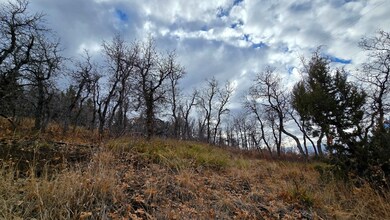 138 E Oak Ridge Dr, Mount Pleasant, UT 84647 - photo 4
