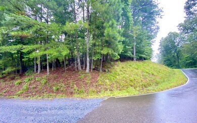 Additional View