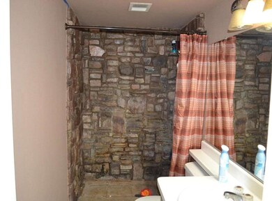 REMODELED STONED SHOWER IN MASTER BATH