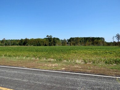 TBD Cowpen Swamp Rd, Fairmont, NC 28340 - photo 3