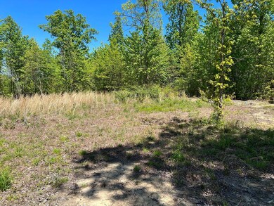 Lot J McCartt Ridge Ln, Sunbright, TN 37872 - photo 2