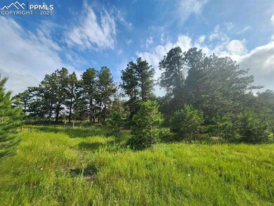 0 Hopper Rd unit 4878818, Peyton, CO 80831 - photo 3