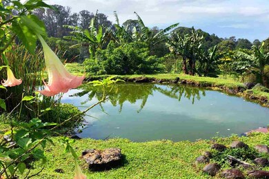 1690 Piiholo Rd, Makawao, HI 96768 - photo 2