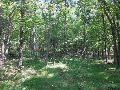 0 Post Hill Rd unit 201411258, Taghkanic, NY 12502 - photo 2