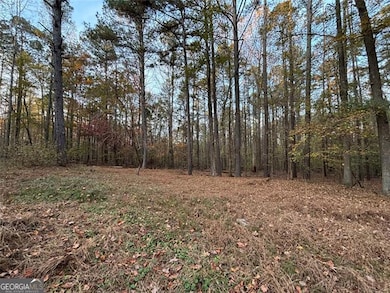 4926 Maroney Mill Rd, Douglasville, GA 30134 - photo 7