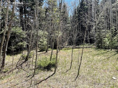 146 Gibson Rd, Westcliffe, CO 81252 - photo 6