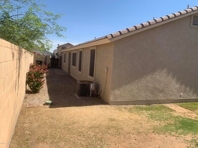 Side Yard