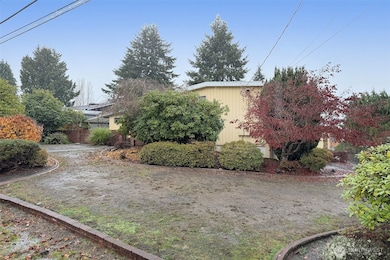 Side yard of large corner lot.