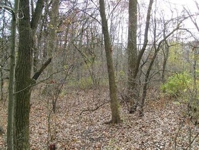 7801 W 121st Ave, Crown Point, IN 46307 - photo 2