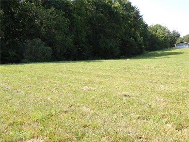 00 Pleasant Ridge Rd, Franklinville, NC 27248 - photo 2