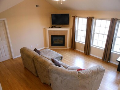 Living Room with Vaulted Ceiling