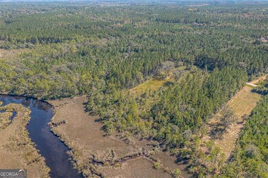 Lot 76 La Sole Ln, Waverly, GA 31565 - photo 6