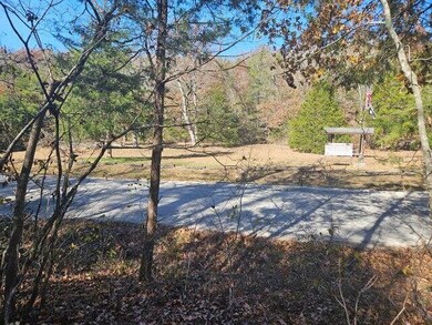 000 Eastwood Hills Block 6 Lot 2, Theodosia, MO 65761 - photo 4