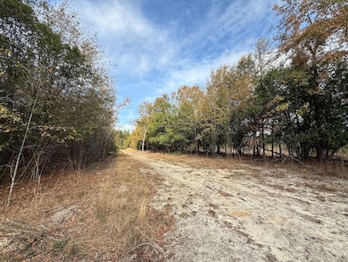 Sc Hwy 39 unit LotWP001, Williston, SC 29853 - photo 7