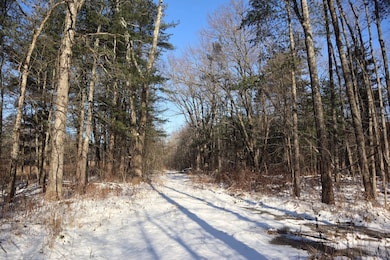 577 Schodack Landing Rd, Schodack Landing, NY 12156 - photo 3