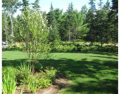 Yard/Garden.