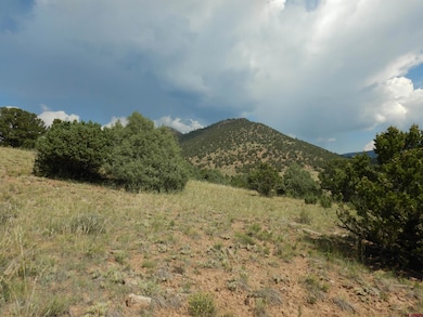 222 La Lomita Cir, South Fork, CO 81154 - photo 7