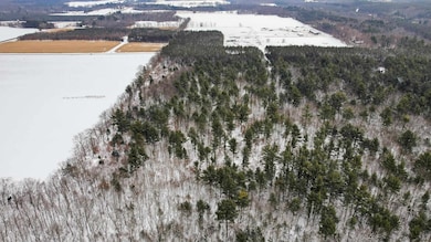 20 Acres County Road D, Waupaca, WI 54981 - photo 5