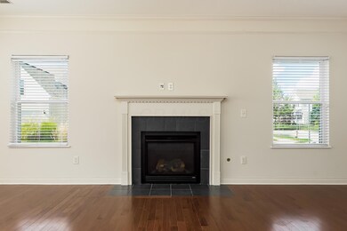 Gas Fireplace