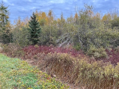 0 Silvers Mills Rd unit LotWP001 23320211, Sangerville, ME 04479 - photo 2