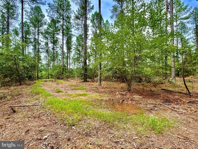 0 Old Mill Rd unit VAFQ2010670, Midland, VA 22728 - photo 5