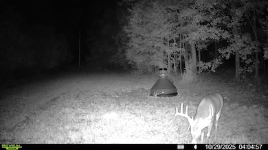 0 N Main St, Ashburn, GA 31714 - photo 4