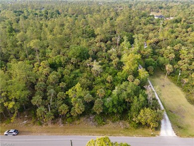 34th Se Ave, Naples, FL 34117 - photo 4