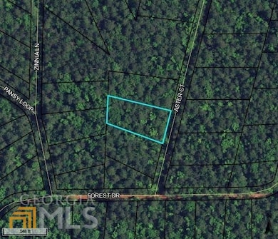 LOT 21 Aster Ct, Waverly Hall, GA 31831 - photo 2