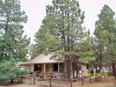 Beautiful Ponderosa Pines