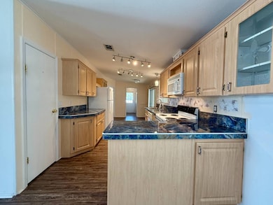 3515 Zephyr Ln, Valrico, FL 33594 - photo 6