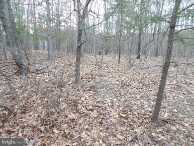 12 Cielo Ln, Berkeley Springs, WV 25411 - photo 2