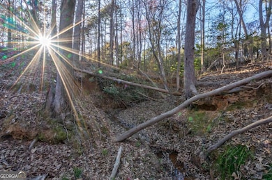 Lot1 Powderbag Creek Rd, Hartwell, GA 30643 - photo 5