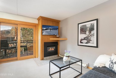 555 E Lionshead Cir unit 202, Vail, CO 81657 - photo 3