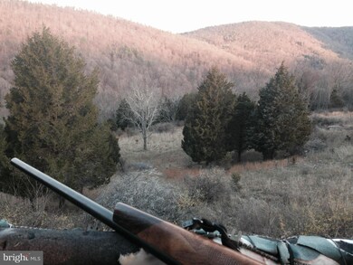 0 Moyers Gap Rd unit 1002486108, Sugar Grove, WV 26815 - photo 6