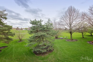 1008 Interloch Ct unit 153, Algonquin, IL 60102 - photo 2