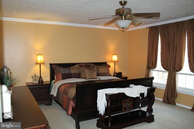 10811 Topbranch Ln, Columbia, MD 21044 - photo 3